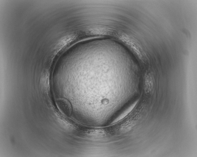 X0000115650398200912011526