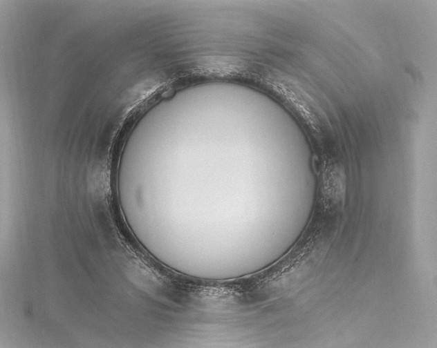 X0000115650399200912011526