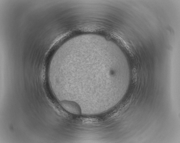 X0000115650400200912011526