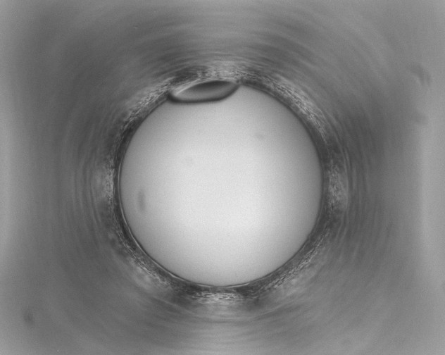 X0000115650401200912011526