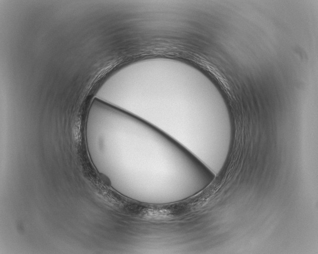 X0000115650403200912011526