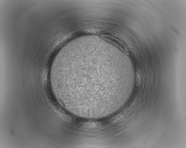 X0000115650404200912011526