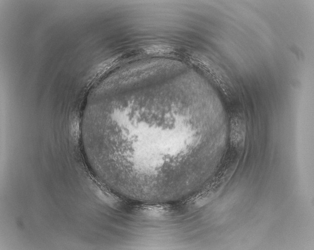 X0000115650405200912011526