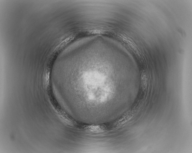 X0000115650406200912011526