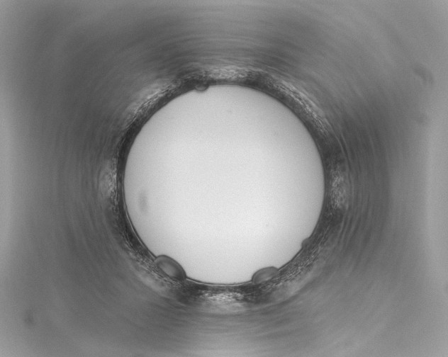 X0000115650407200912011526