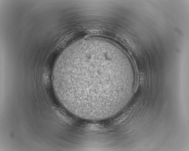 X0000115650408200912011526