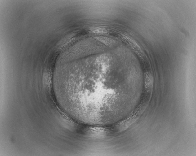 X0000115650409200912011526