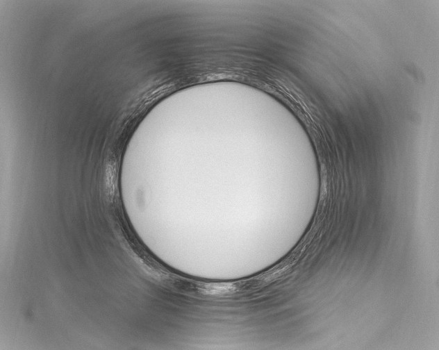 X0000115650410200912011526