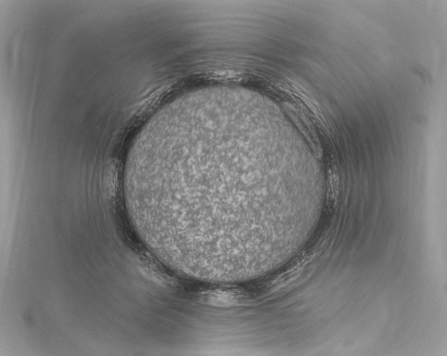 X0000115650412200912011526