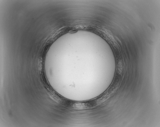 X0000115650413200912011526