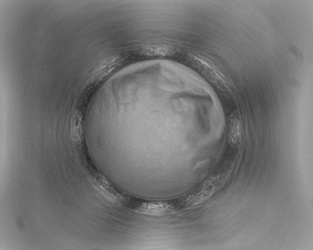 X0000115650414200912011526