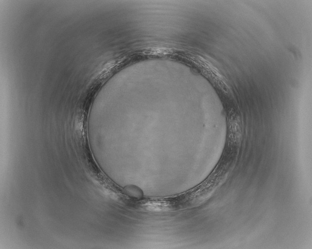 X0000115650415200912011526