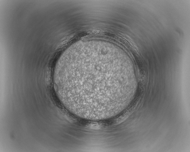 X0000115650416200912011526