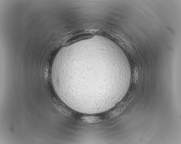 X0000115650417200912011526