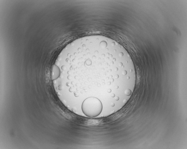 X0000115650418200912011526