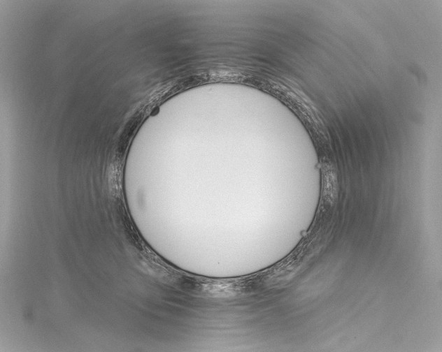 X0000115650419200912011526