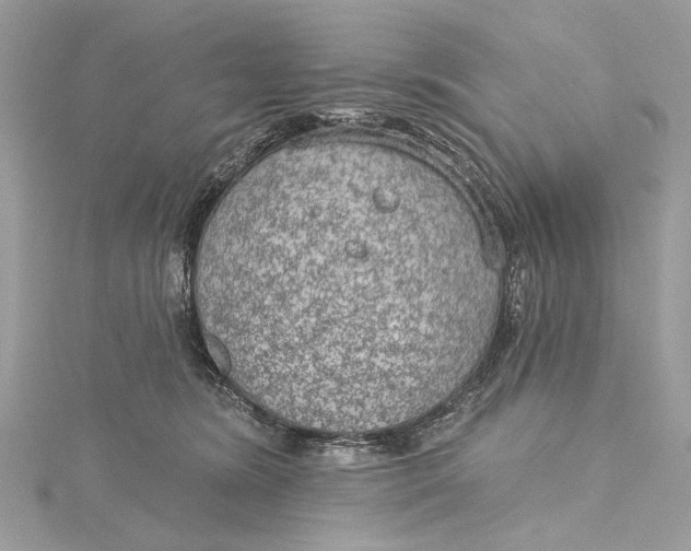 X0000115650420200912011526