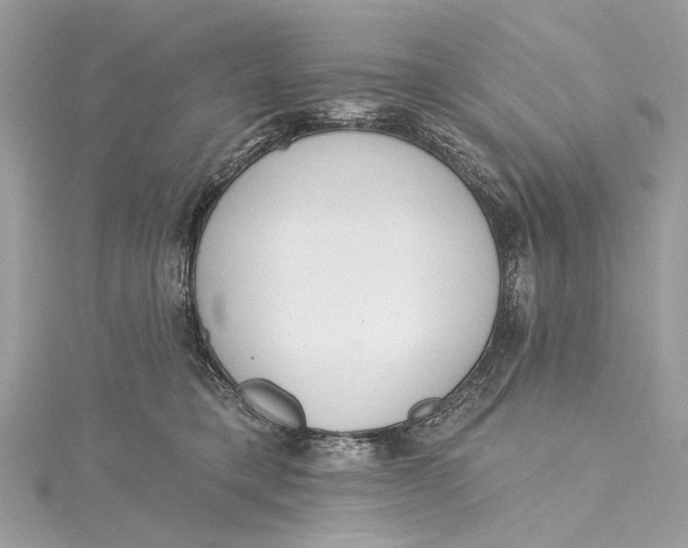 X0000115650421200912011526