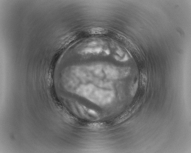 X0000115650422200912011526