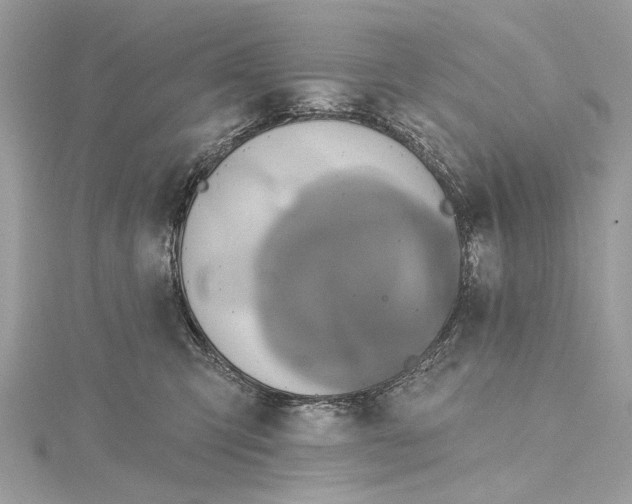 X0000115650423200912011526