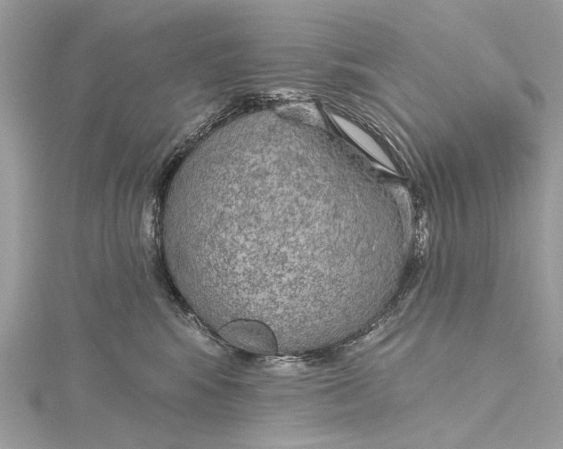 X0000115650424200912011526