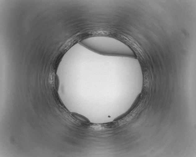 X0000115650425200912011526