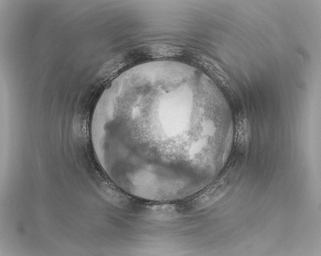 X0000115650426200912011526