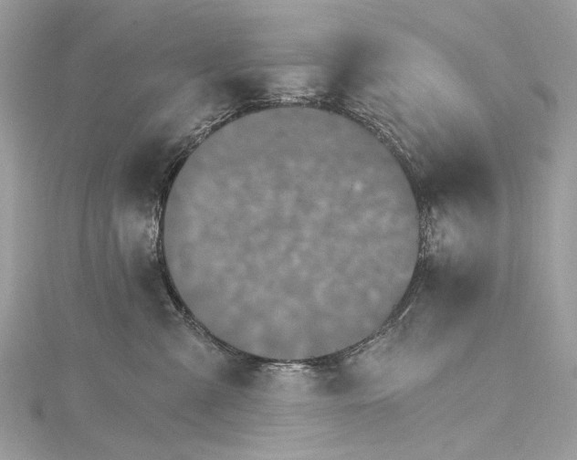 X0000115650427200912011526