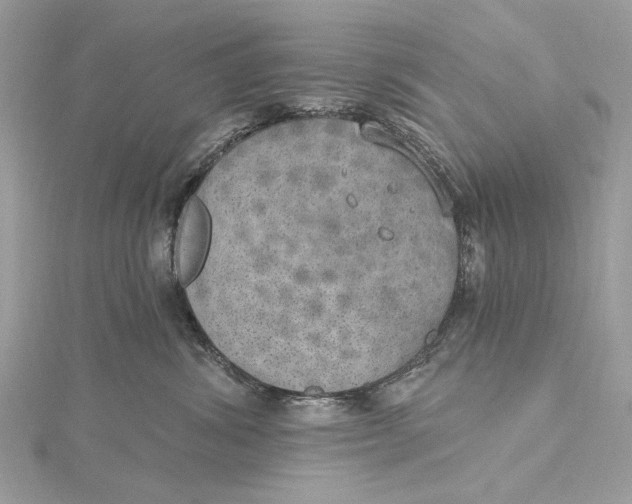 X0000115650428200912011526