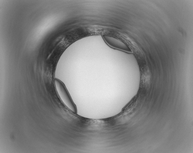 X0000115650429200912011526