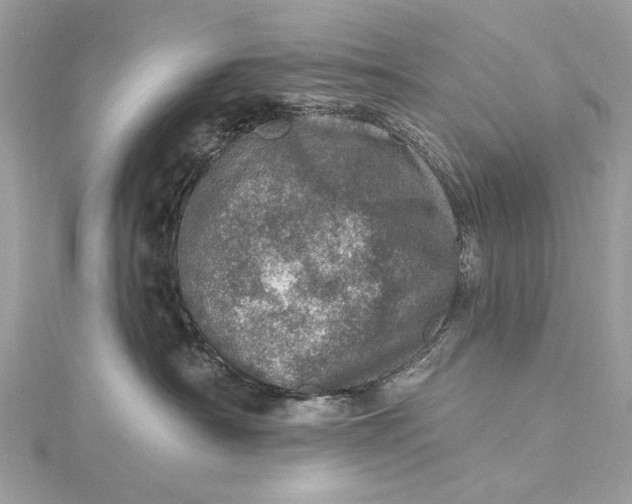 X0000115650430200912011526