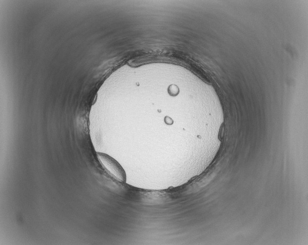 X0000115650432200912011526