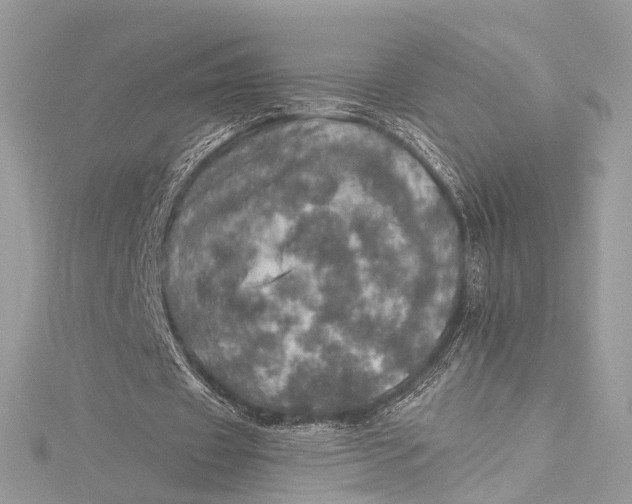 X0000115650433200912011525