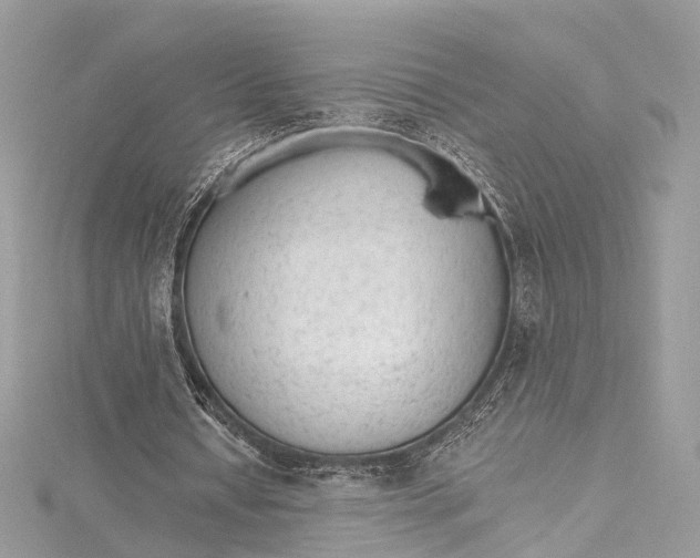 X0000115650434200912011525