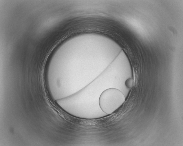 X0000115650435200912011525