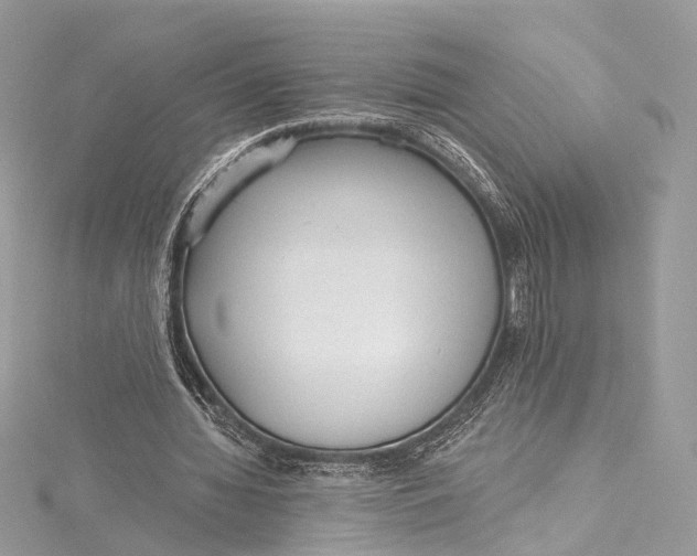 X0000115650436200912011525