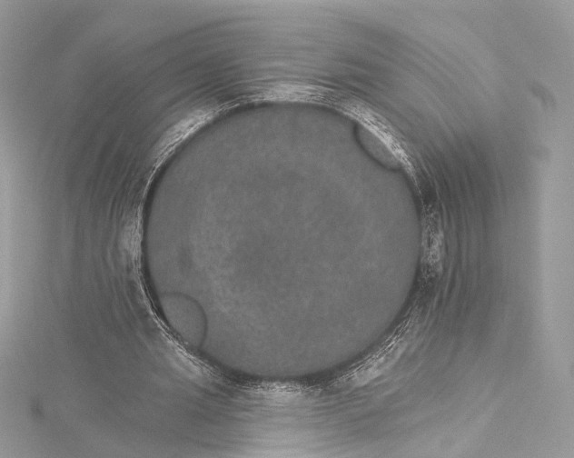 X0000115650437200912011525