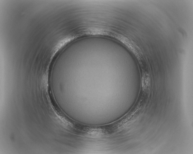 X0000115650438200912011525