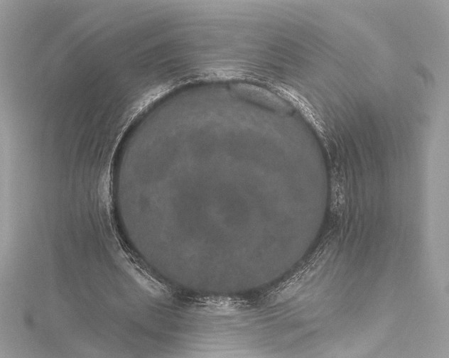 X0000115650439200912011525