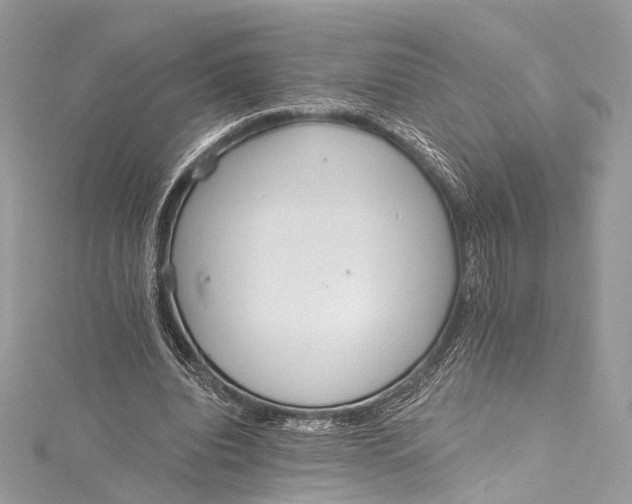 X0000115650440200912011525