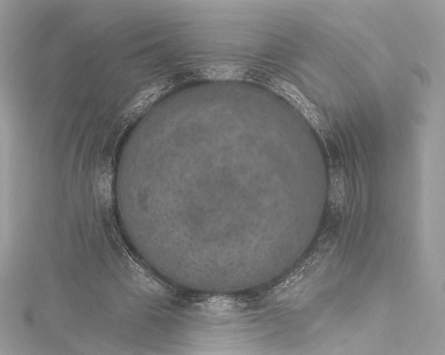 X0000115650441200912011525