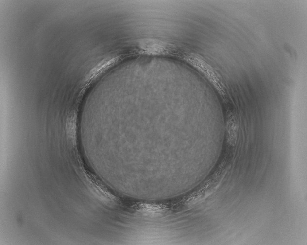 X0000115650442200912011525