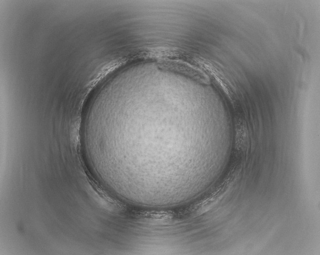 X0000115650443200912011525