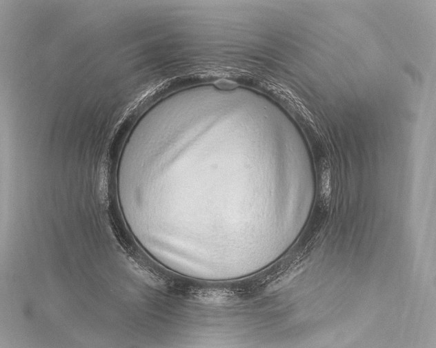 X0000115650444200912011525