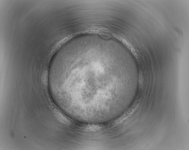 X0000115650445200912011526