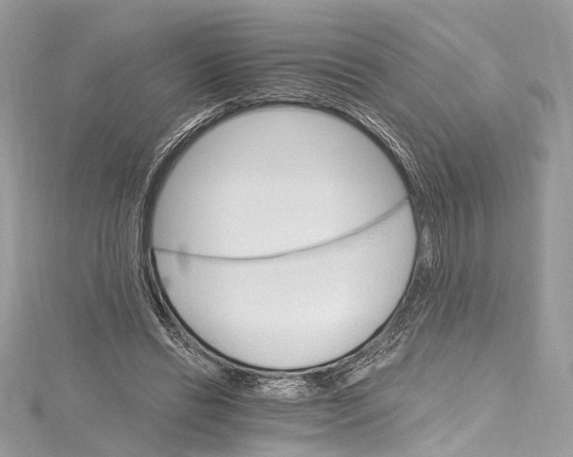 X0000115650446200912011526