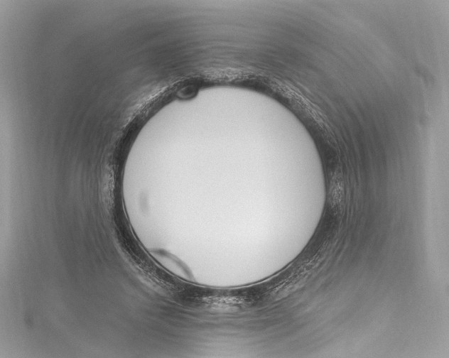 X0000115650448200912011526