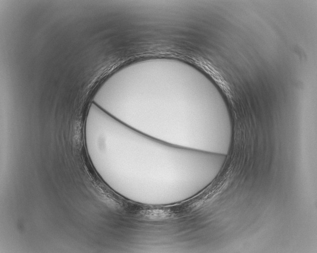 X0000115650449200912011526