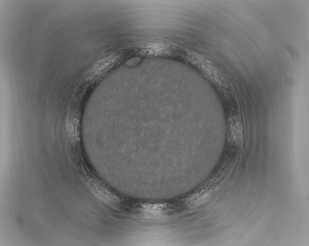 X0000115650450200912011526