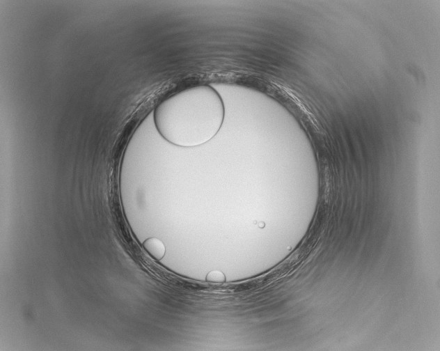 X0000115650451200912011526